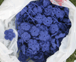 blue flowers for the Roses Cape
