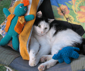 Izzy eyes Bob's pet