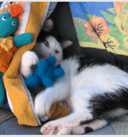 Crochet Bob is too late!