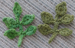 leaves for roses cape