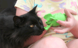 Roosevelt and Ella's mouse.