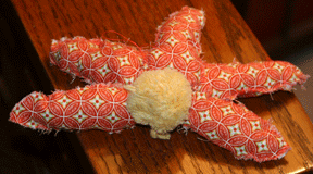 Ella’s Flower Gift