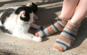 Eva's crocheted, Opal socks plus cat