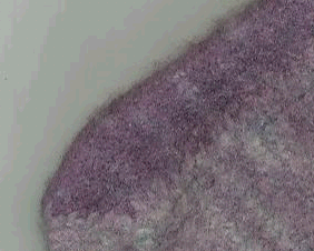 stitching on felt purse