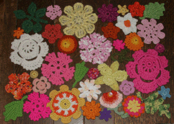 experimental arrangement of flowers for doily
