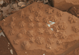 star shaped pressed mud cookies