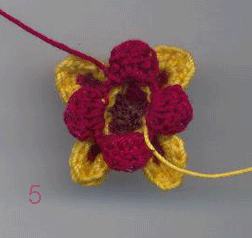 Crocheted Mexican Hat Step-by-Step