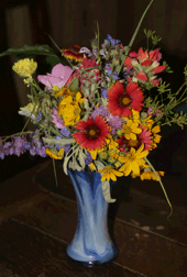 Texas wildflowers for Mother\'s Day