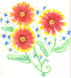 Firewheels in oil pastel, by Suzann