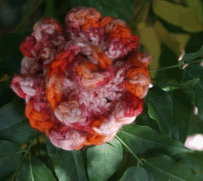 Shelly Rose from Crochet Bouquet