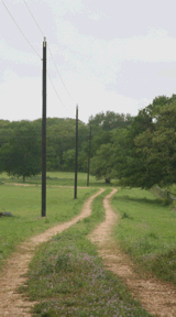 power lines