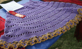 Pansy Poncho wins second place!